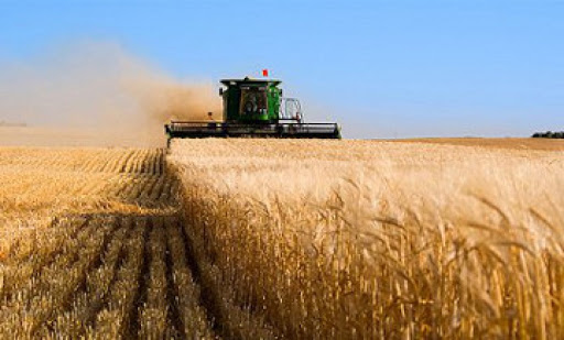 Egistik jumystaryn uıymdastyrýdyń erekshelikteri