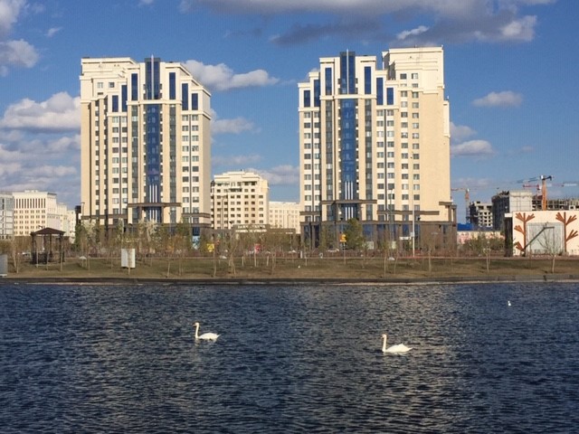 Nur-Sultan: Botanıkalyq baqtaǵy aqqýlar tirshiliginen reportaj