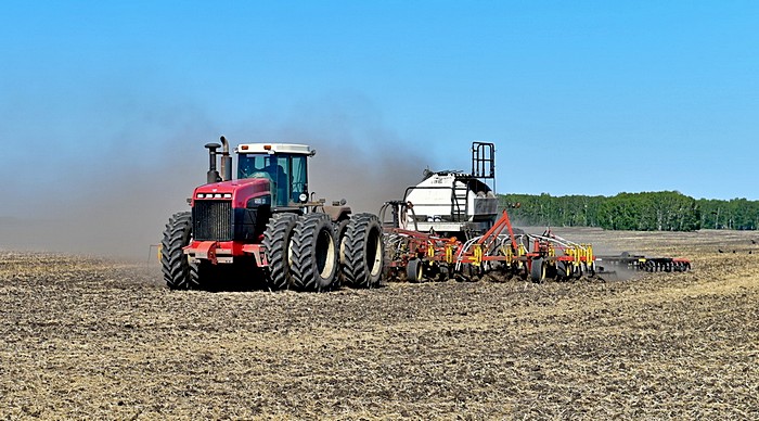 Qostanaı oblysy: Karantın kóktemgi egis naýqanyna kedergi etpeıdi