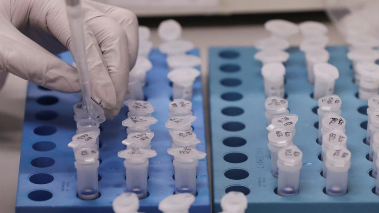 Jitiqara qalasynda bir kún ishinde 6 adamnan indet anyqtaldy