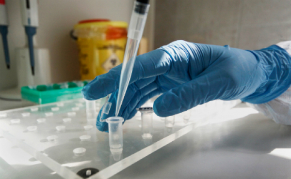 Dúısenbi: Almatyda taǵy 11 adam koronavırýs juqtyrdy