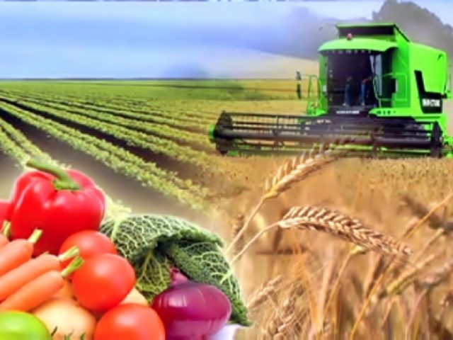 Mańǵystaýda quny 122 mln teńgeni quraıtyn 61 agroónerkásip sýbektisi qoldaý tapty