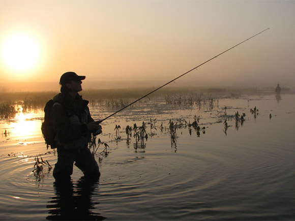 Balyq aýlaımyn dep...