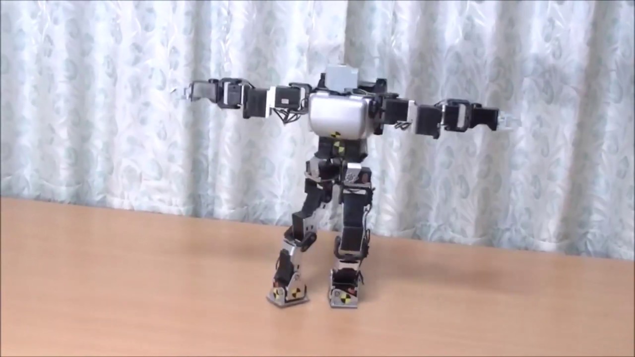Bıshi robot (vıdeo)