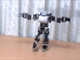 Bıshi robot (vıdeo)