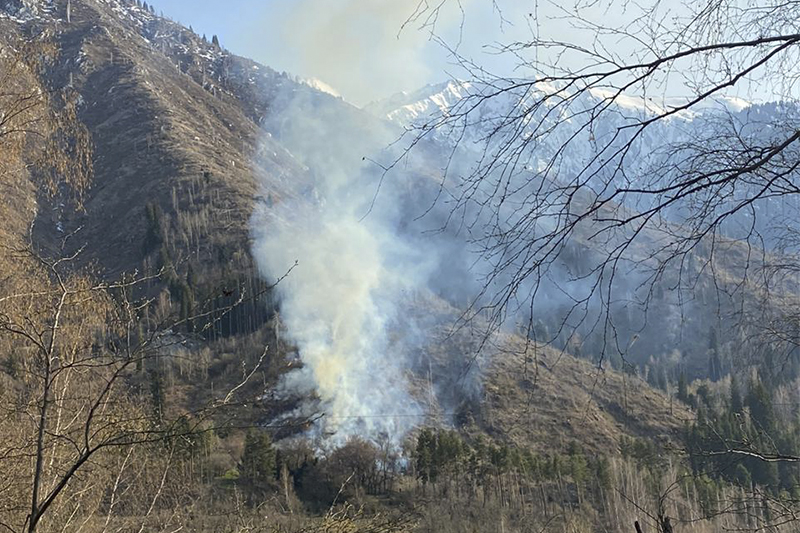 Almatynyń Mohnatka taýyndaǵy órt sóndirildi