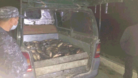 Túrkistan: Balyq aýlaǵan brakonerler ustaldy