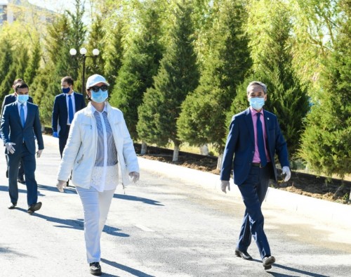 Qyzylorda oblysynyń ákimi epıdemıologııalyq ahýaly aýyr aýdandarda boldy