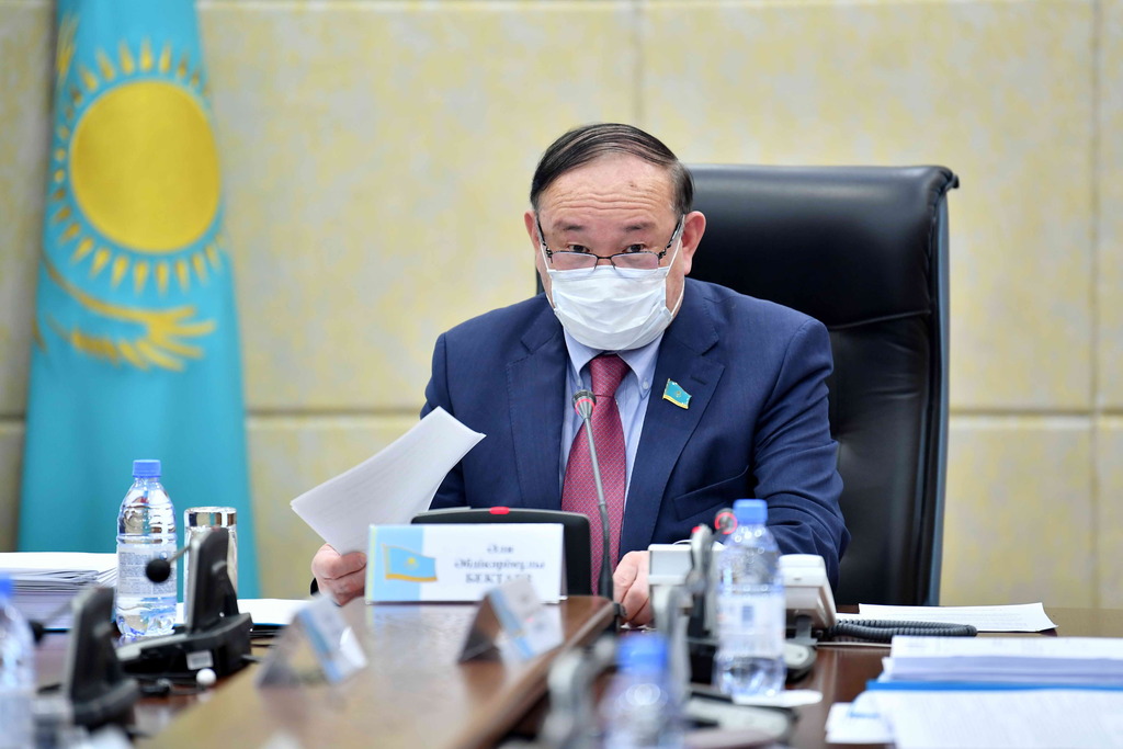 Senatta atom energııasyn tıimdi paıdalaný máselesi qaraldy