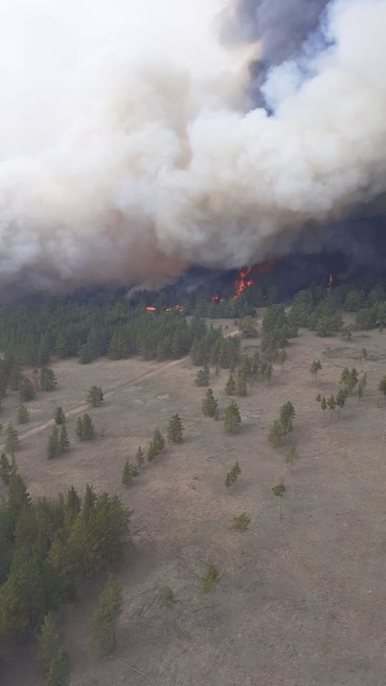 Shyǵys Qazaqstan: «Semeı Ormany» rezervatynda órt shyqty