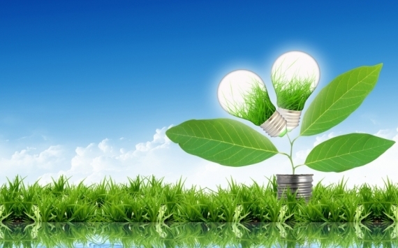 BUU Damý Baǵdarlamasy «jasyl» jobalardy qarjylandyrady