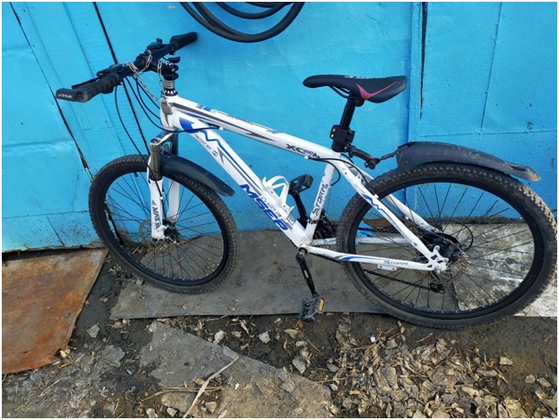 Qos dóńgelekti kók tulpar...