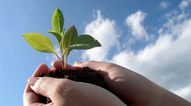 Qala tazalyǵy barshaǵa ortaq