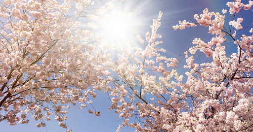 Oqshaýlanǵandaǵy oılar