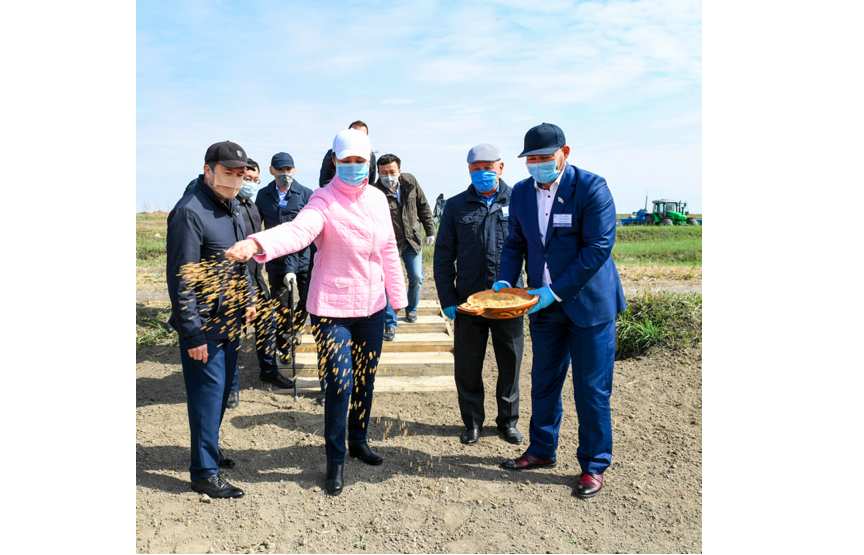 «Dala kúni»: Alǵashqy dán sebildi