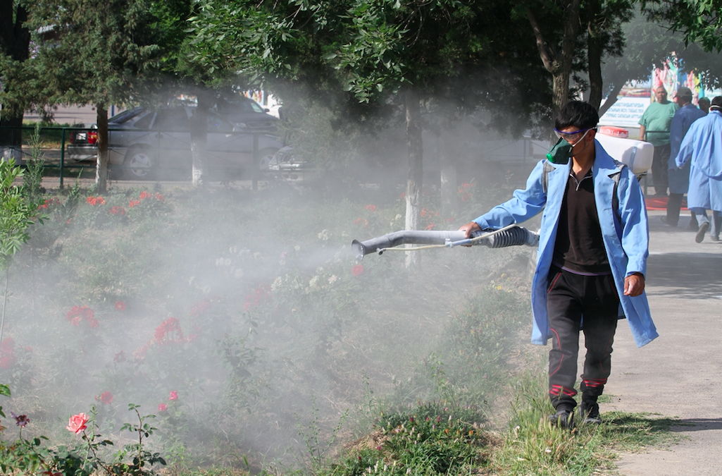 Shymkentte kenege qarsy zalalsyzdandyrý jumystary júrip jatyr