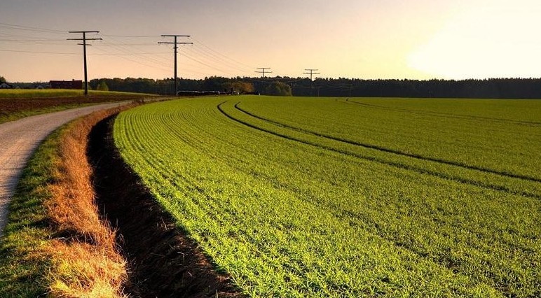 Atyraý: Áskerı polıgonnan 624 myń gektar jer qaıtaryldy