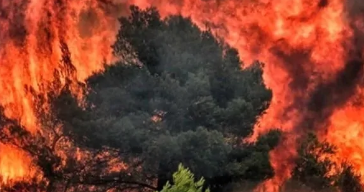 Saýapty kúıdiretin - kúná