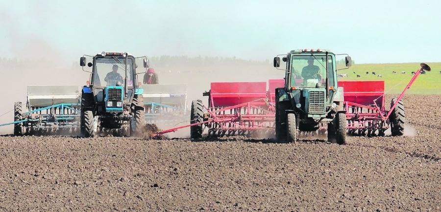 Túrkistan: «Keń dala» baǵdarlamasy boıynsha 950 mln teńge qarjy bólingen