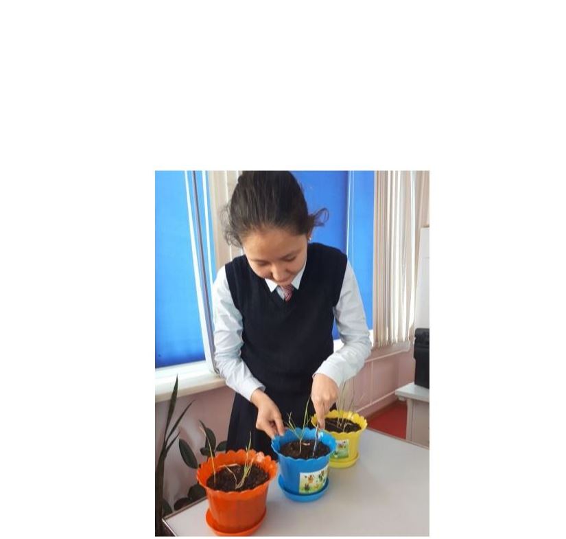 Agrarlyq máselelerdi sheshetin joba