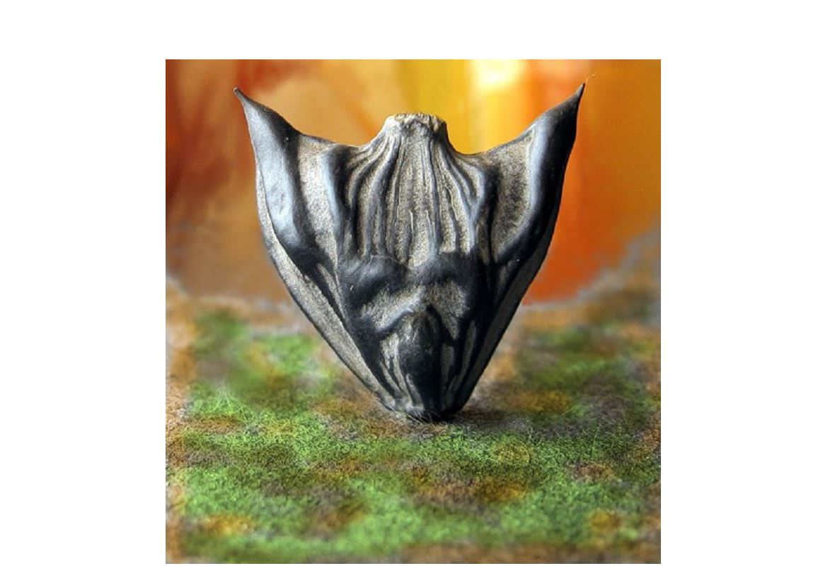 Qasıetti shúılimniń qudireti