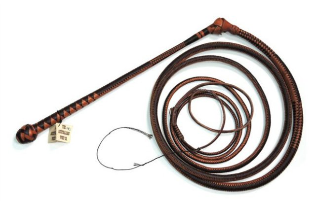 Quldy qorqytqan qamshy