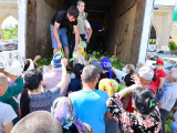 Shymkentte bir kúnde 63 tonna qyryqqabat tegin taratyldy