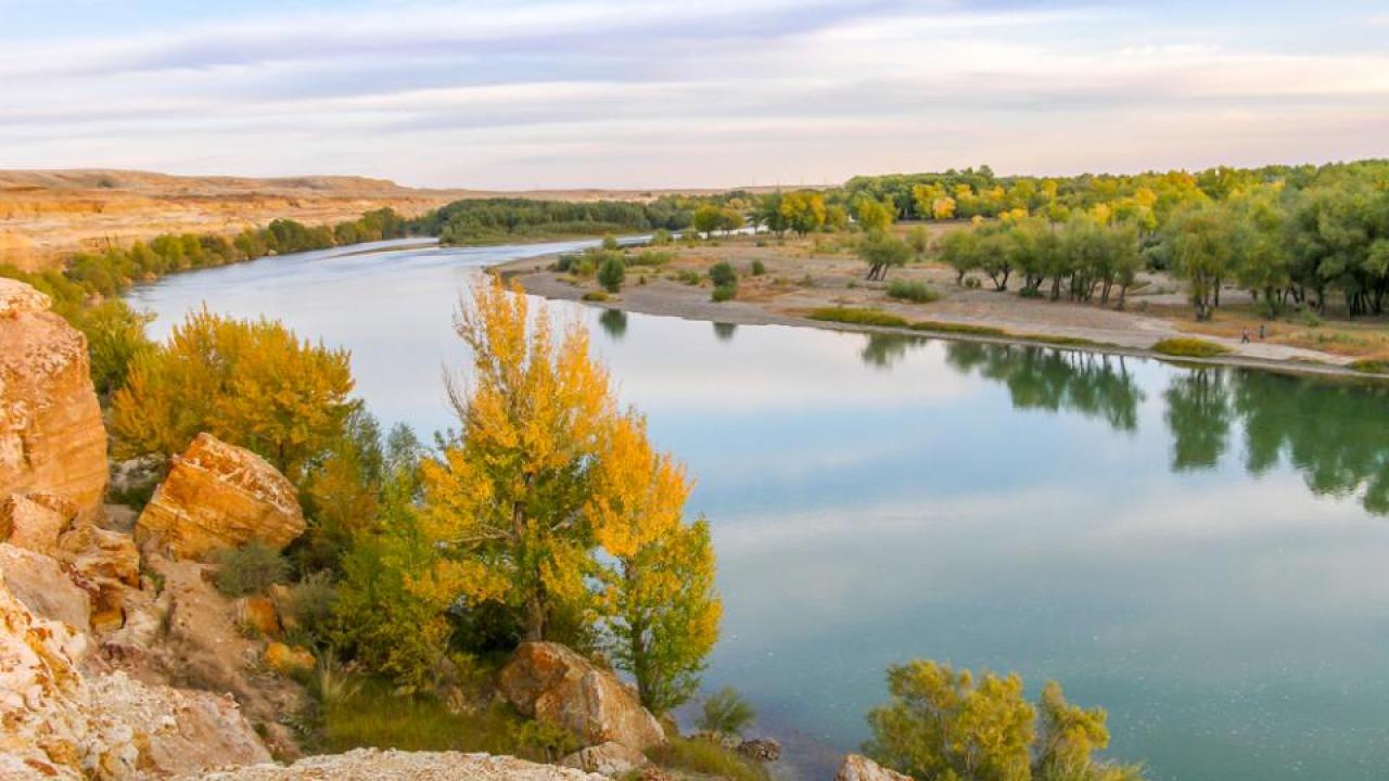 Altaıdyń ańyz-áńgimeleri: «Ertistiń tolqyny» kúıi qalaı shyqqan?