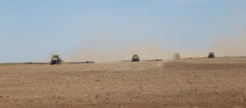 Qaraǵandy oblysy: Dıqandar dán sińirýdi bastady