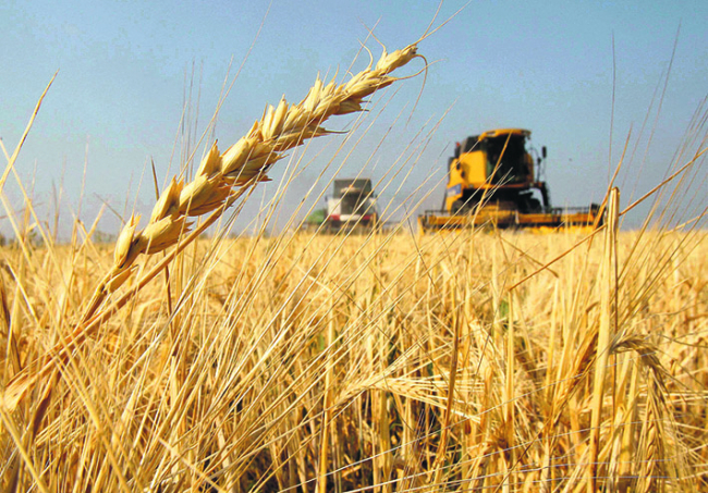 Aqmolada ylǵal jabý aıaqtaldy