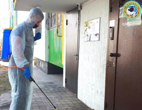 Almatydaǵy kóp qabatty úılerdi zalalsyzdandyrý jalǵasady