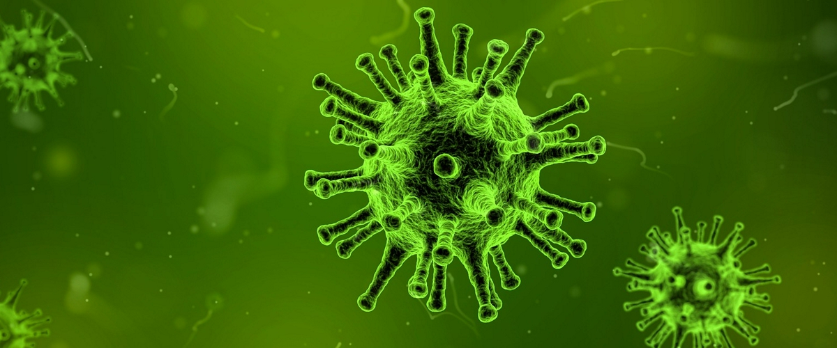 Álem elderi qalypty tirshiligine orala bastady