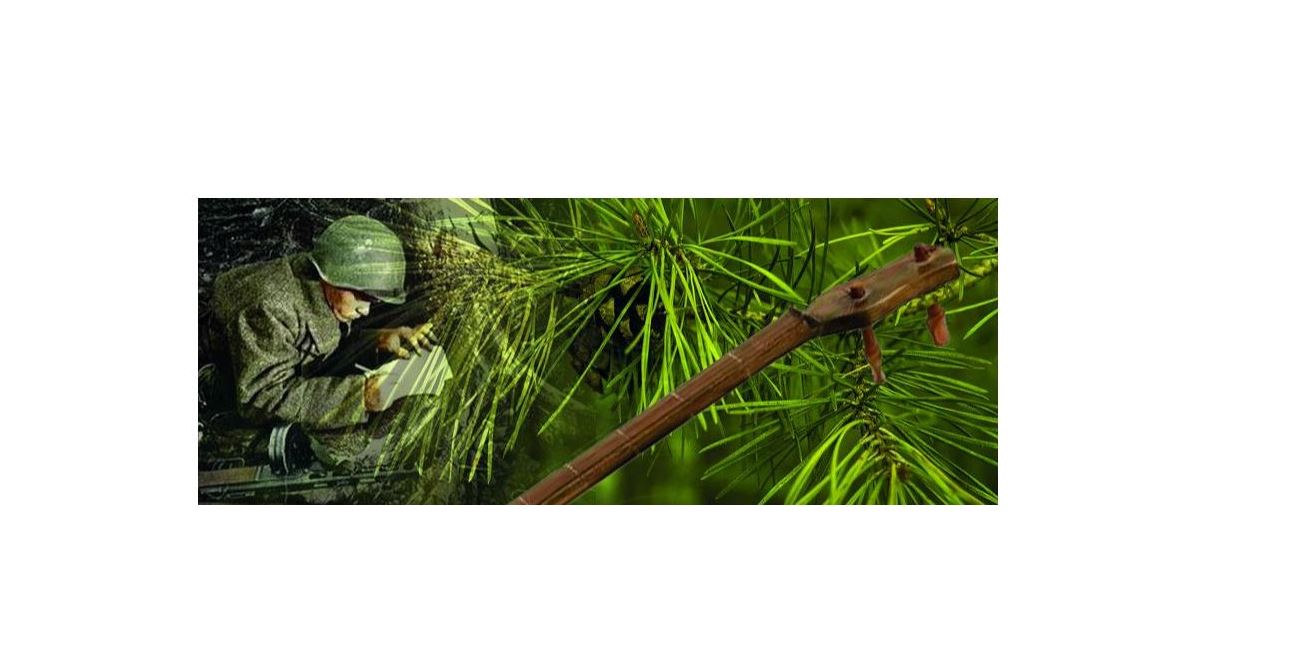 Qaraǵaı butaǵyna ilingen dombyra