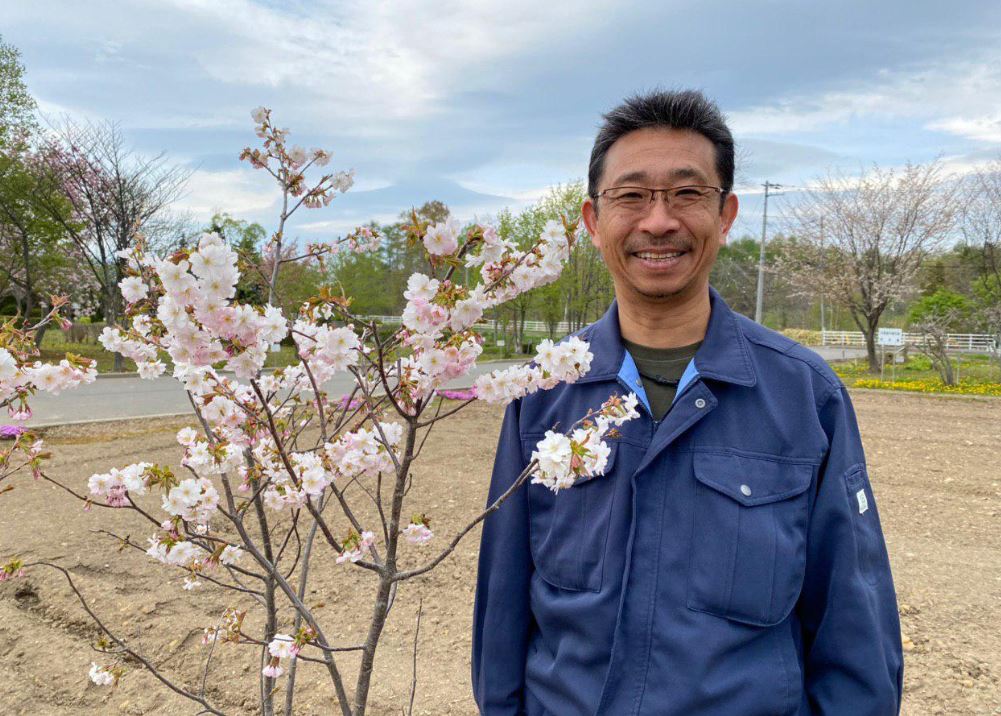 Japonııada «Nur-Sultan» atty sakýra surypy shyǵaryldy