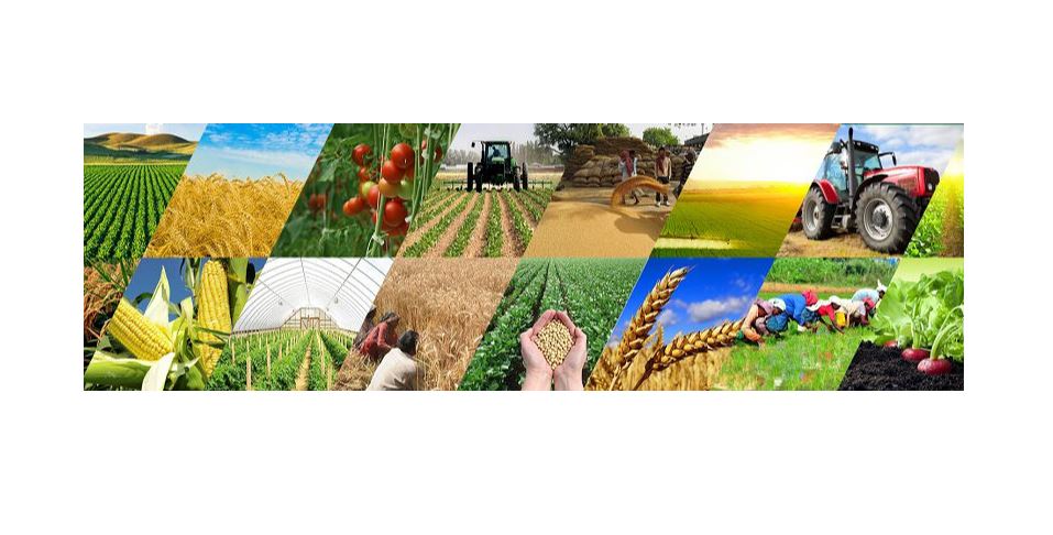 Keshikken qarjynyń kesiri kúzde tımesin