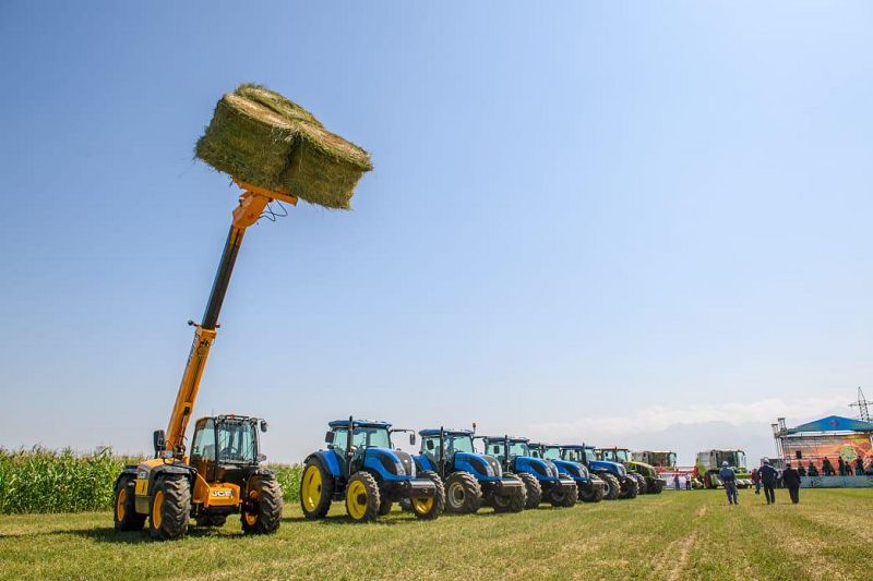 Qıyndyqty ońaılatqan onlaın