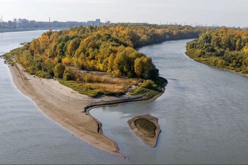 Sýdyń da saıasaty bar