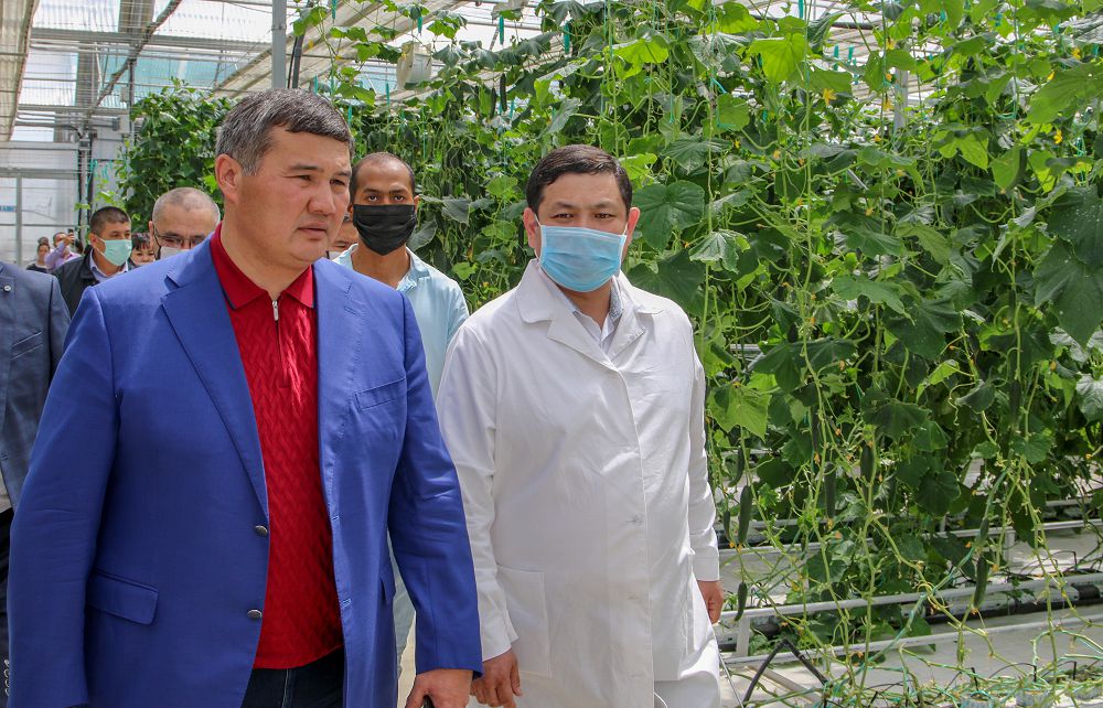 Qyzylorda: Jylyjaı kesheni ashyldy