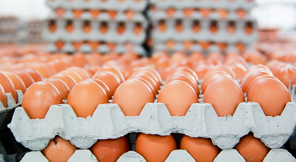 Shyǵynǵa ushyradyq dep dabyl qaqqan qus fabrıkasy memleketten 5 mlrd teńge sýbsıdııa alǵan