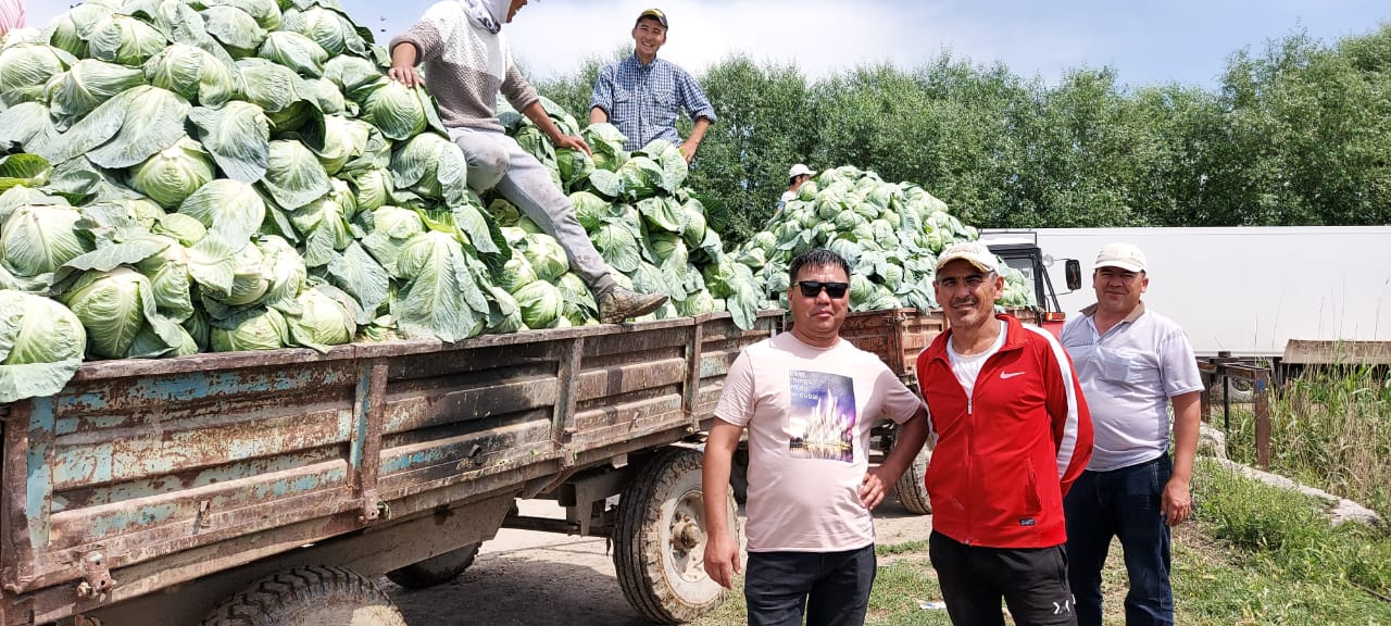 Túrkistan: Qyryqqabat Belorýssııaǵa eksporttalýda
