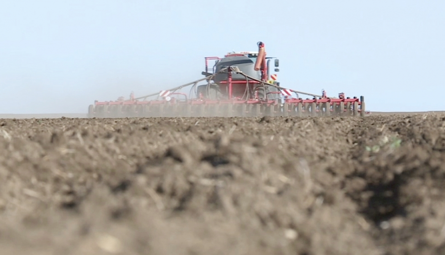 Atyraýlyq dıqandar jem men kókónis daqyldaryn egýdi kóbeıtti