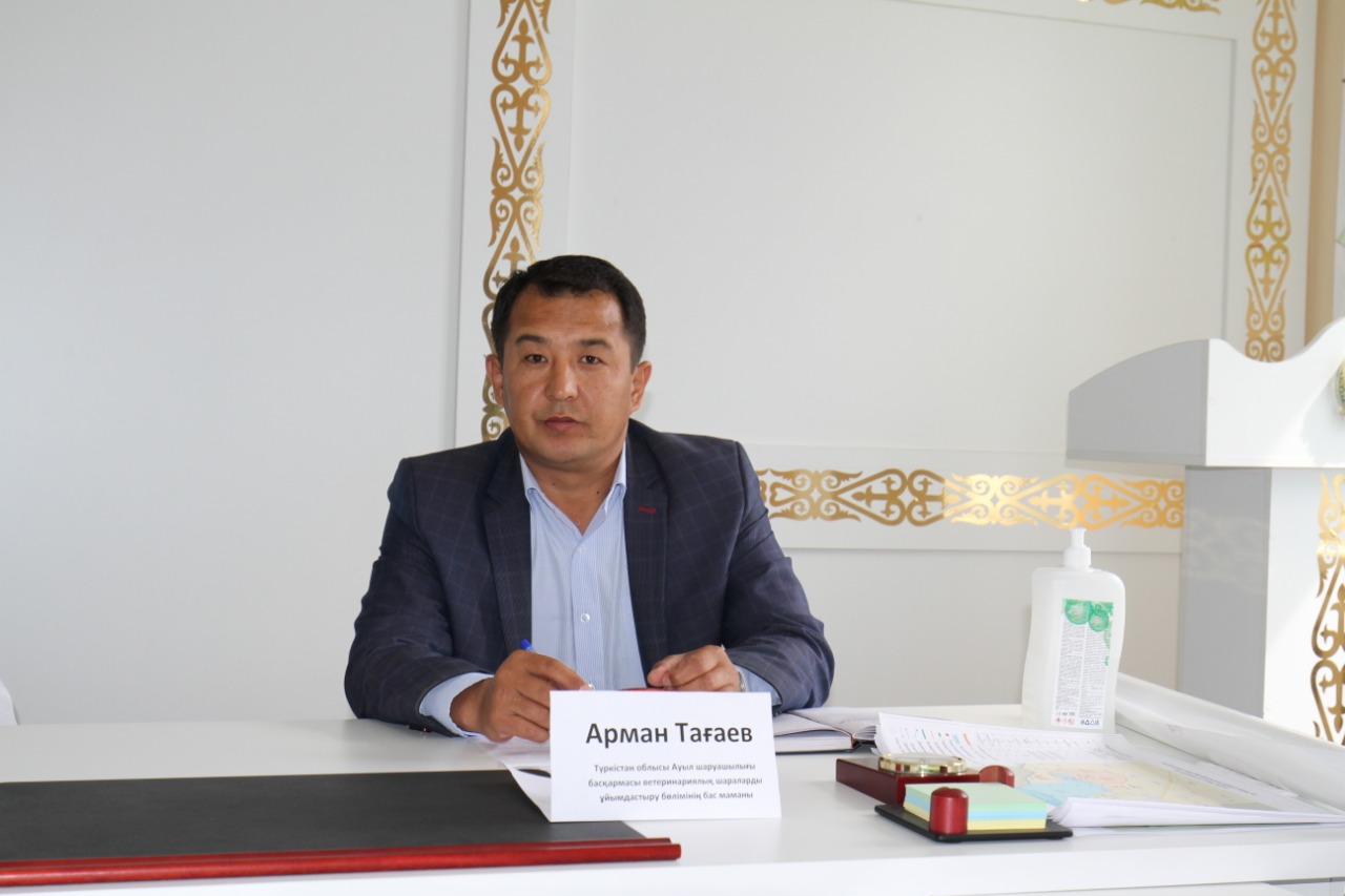 Maqtaaral: Mal ólekseleriniń kópshiligi О́zbekstannan aǵyp kelgeni anyqtaldy