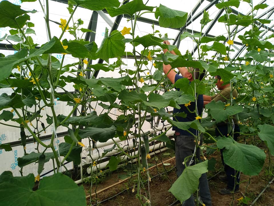 Qyzylorda oblysy: Kolledj jylyjaıy ónim bere bastady