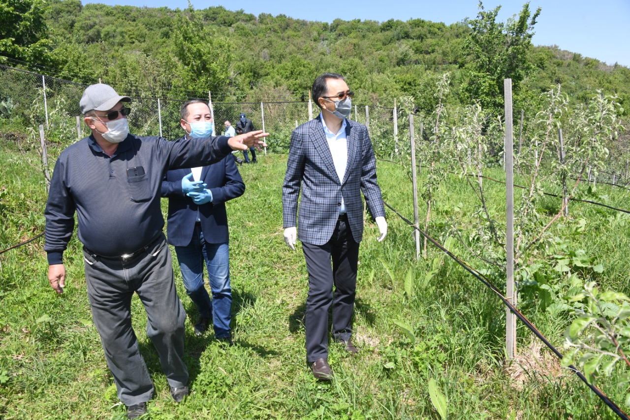 Almatyda bızneske kórsetilgen qoldaý alǵashqy nátıjesin bere bastady