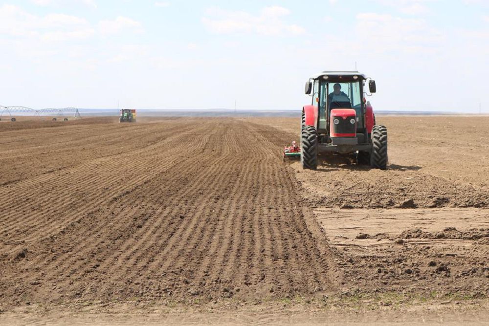 Qyzylorda: Dıqandardy qoldaýdyń qaıtarymy kóp