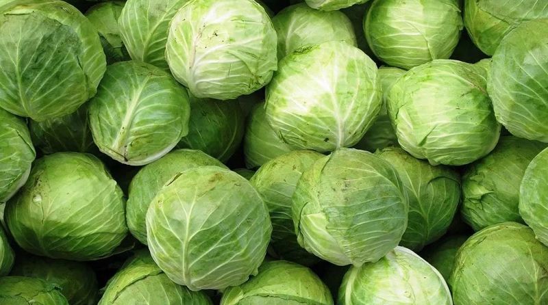 Qyryqqabat daýy: Dıqandarǵa  2 mlrd teńge bólinýi múmkin