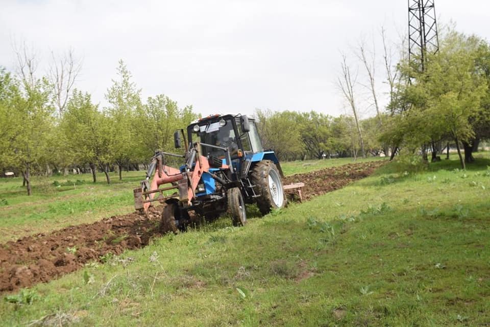 Shymkentte myń shaqyrym aýmaqqa órtke qarsy mıneraldy jolaq salyndy