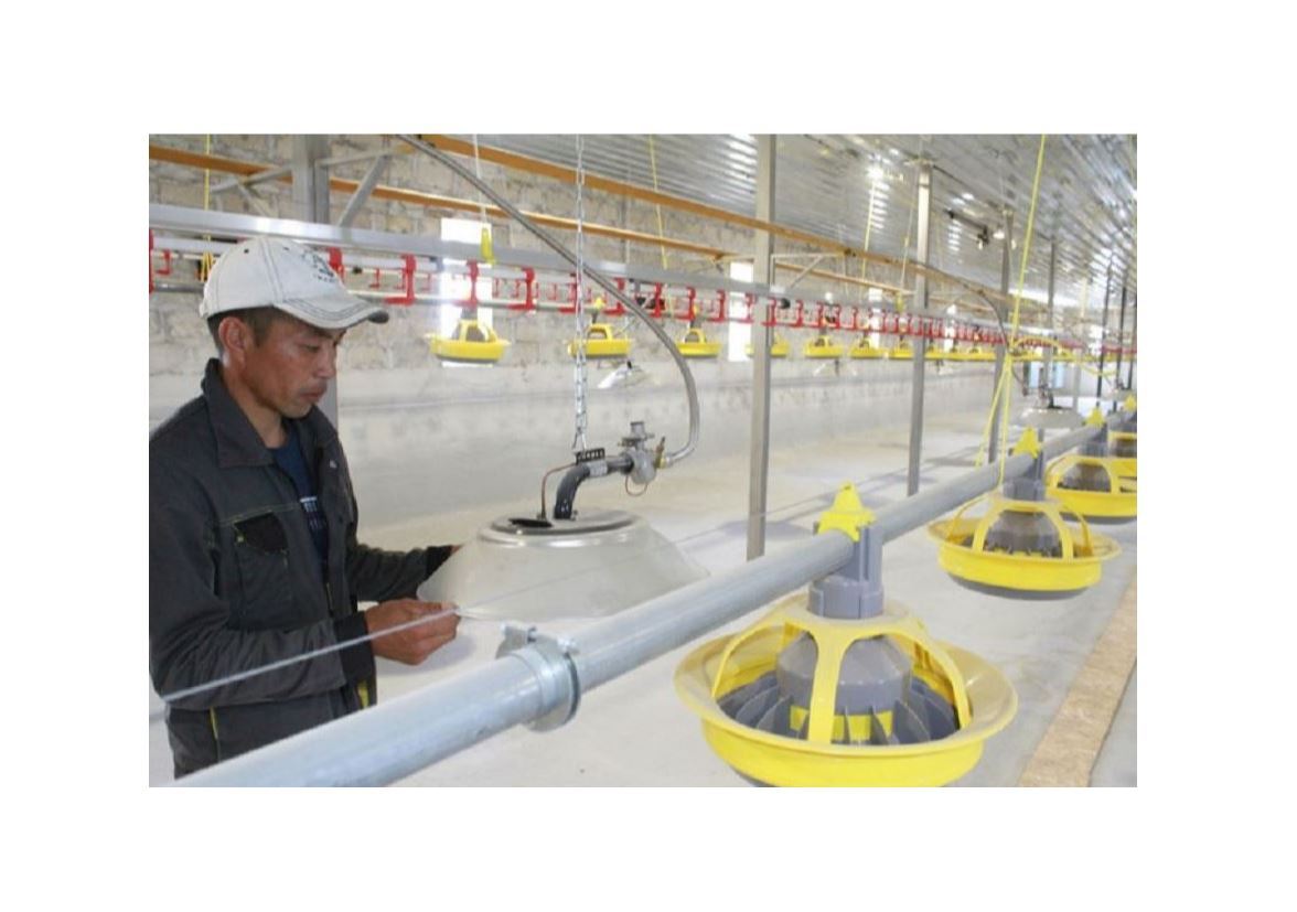 Ilkimdi izdenis qana órge súıreıdi