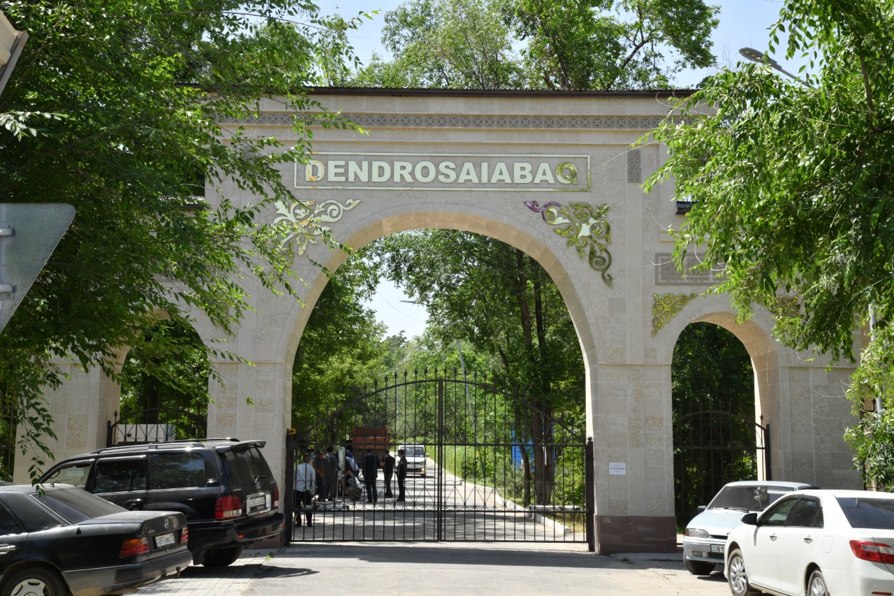 Shymkenttegi dendrosaıabaqta 6,5 shaqyrym velojol salynady