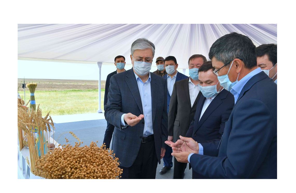 Memleket basshysy kóktemgi egis jumystarymen tanysty